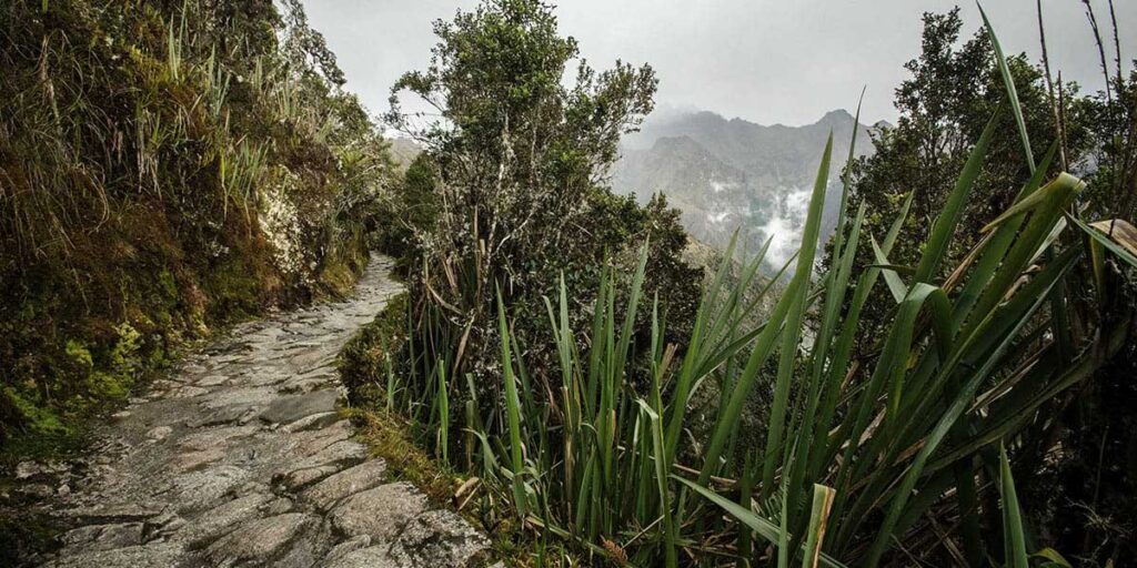 Chemin de l'Inca