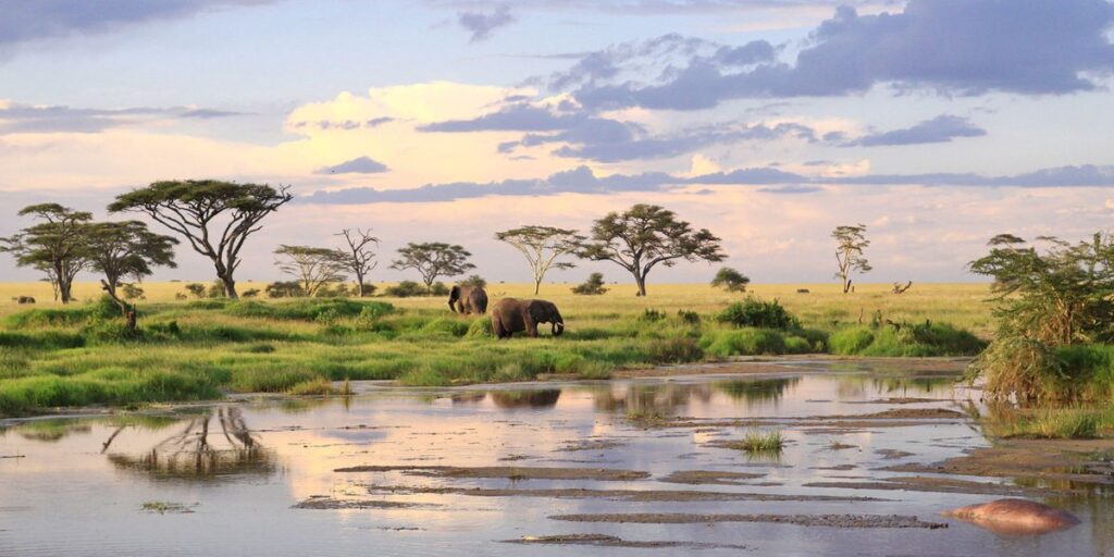 Nacionalni park Serengeti, Tanzanija